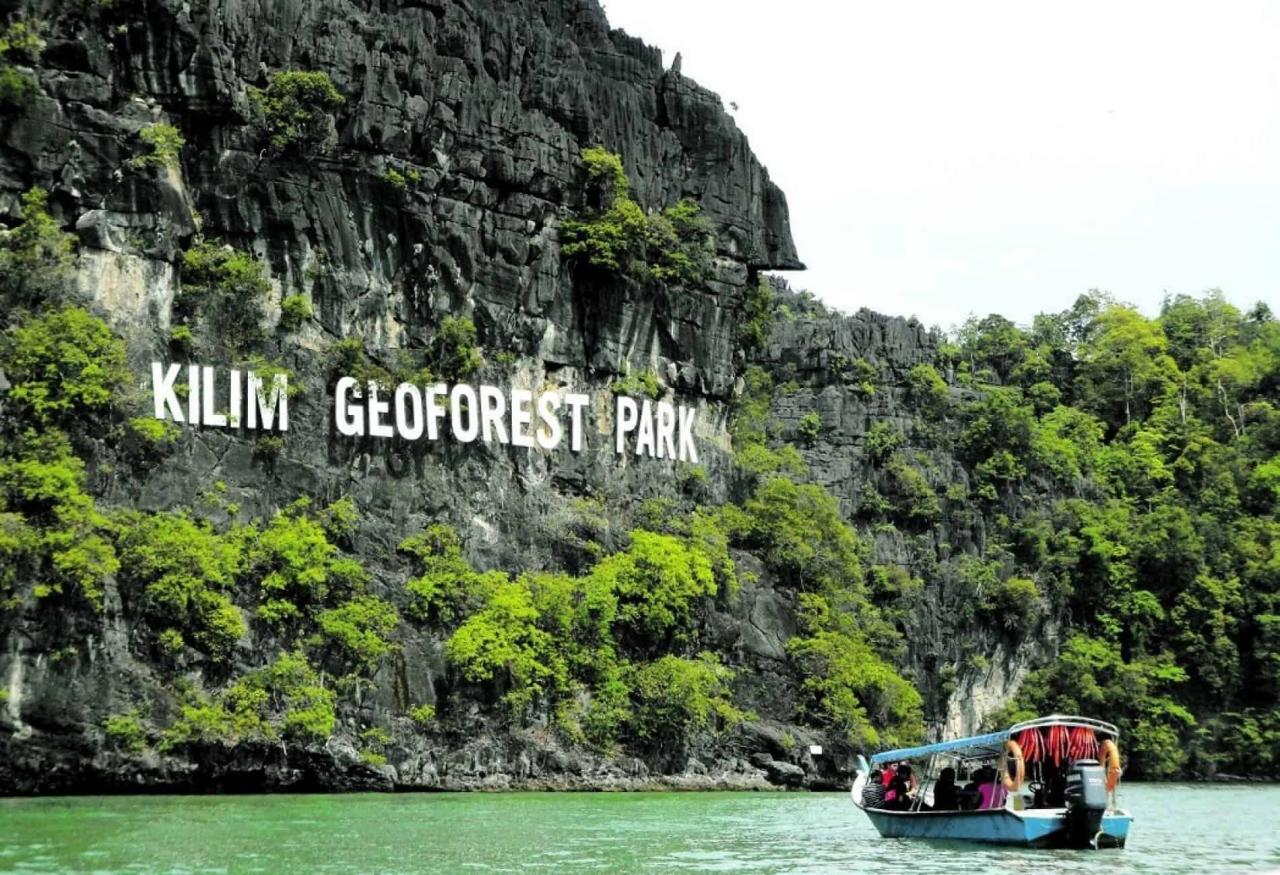 Jelajahi Keindahan Hutan Mangrove Langkawi dengan Tur yang Menakjubkan